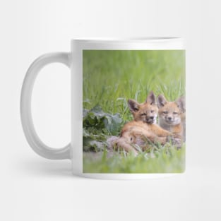 Red fox kit triplets Mug
